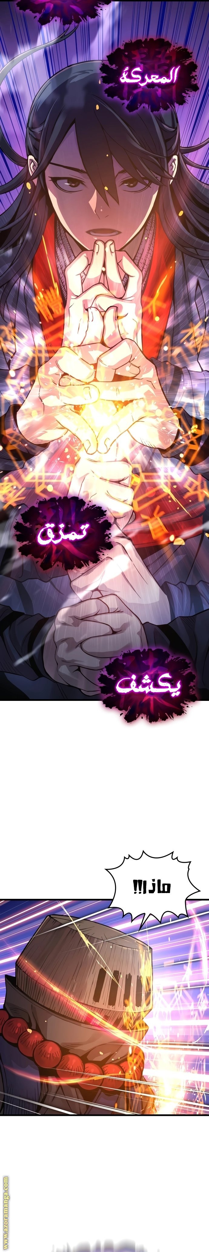 صفحة 17