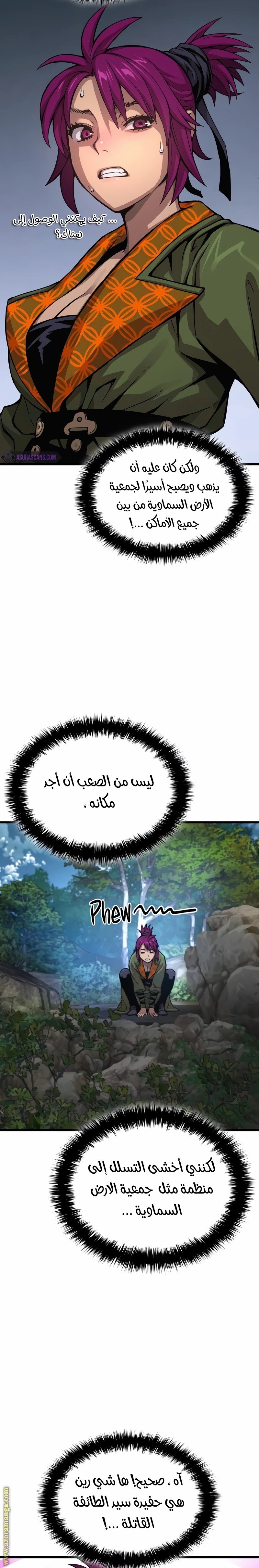 صفحة 17