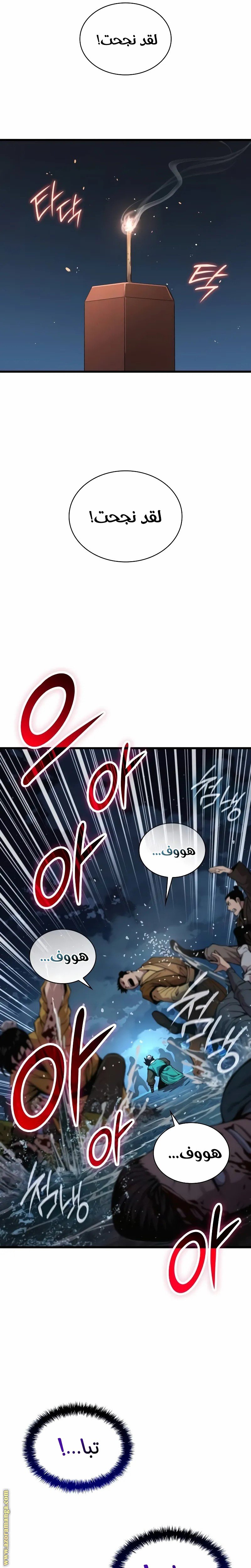 صفحة 17