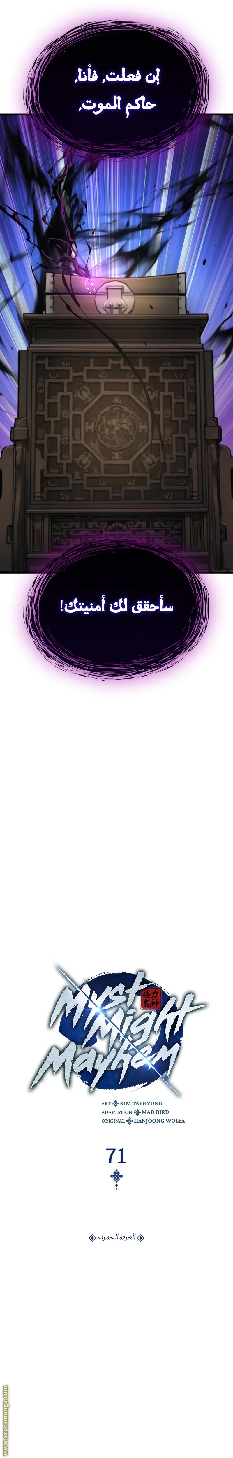 صفحة 17