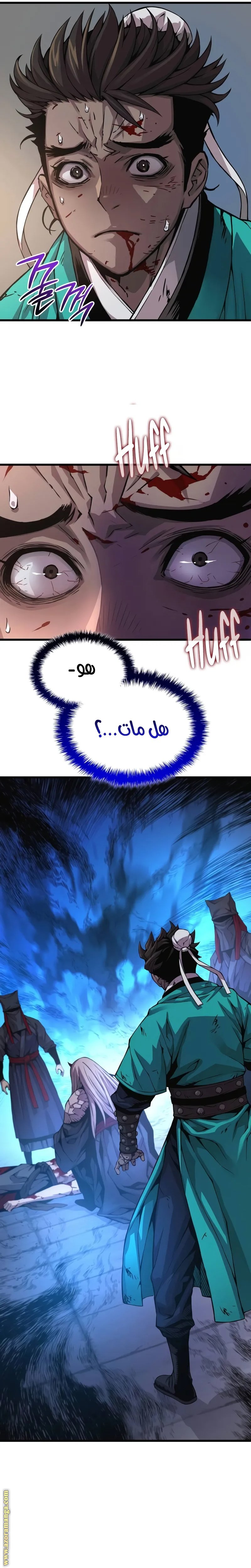 صفحة 17