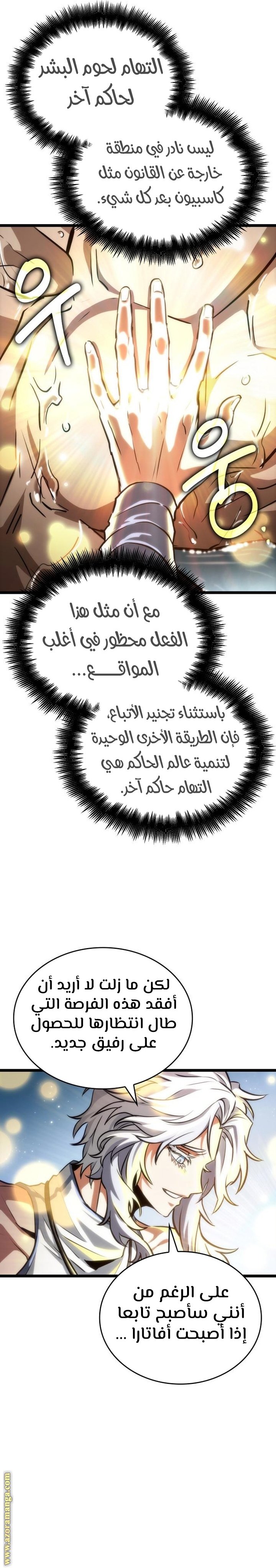 صفحة 13