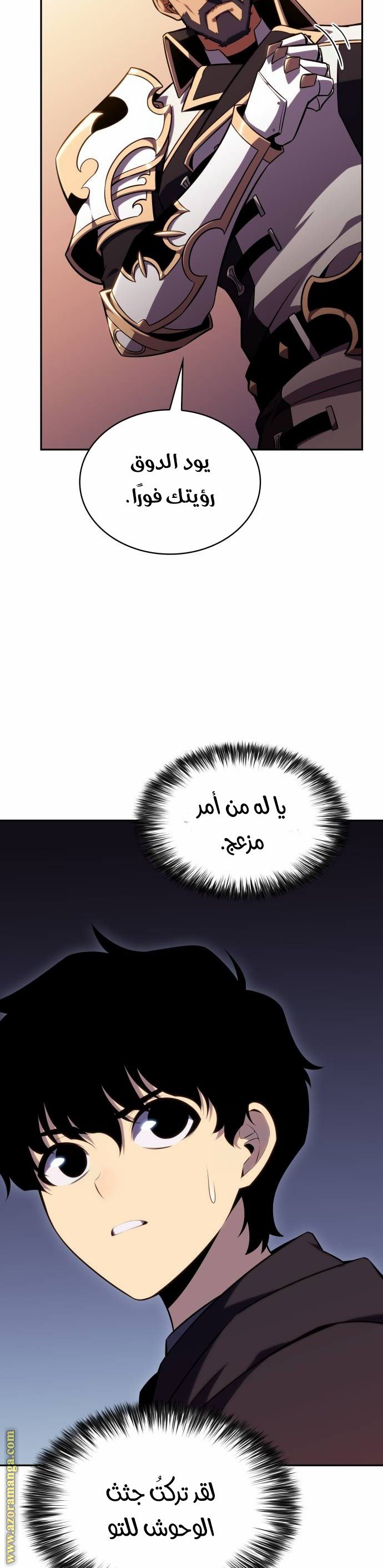 صفحة 29