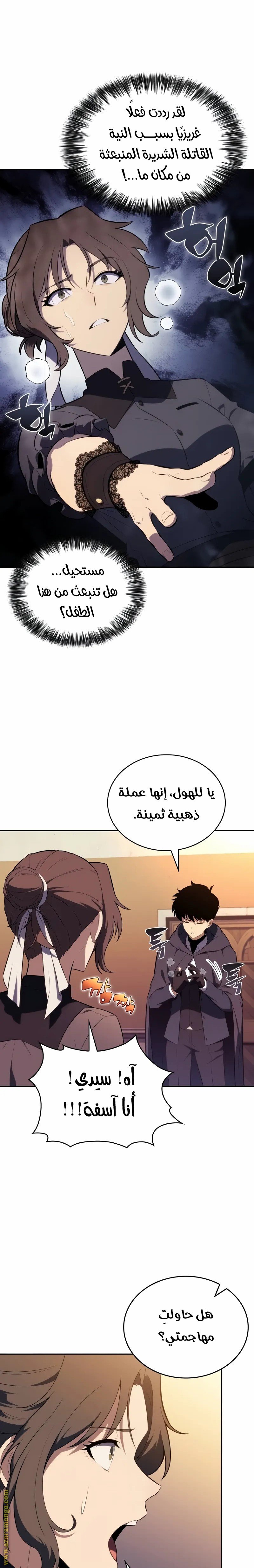 صفحة 13