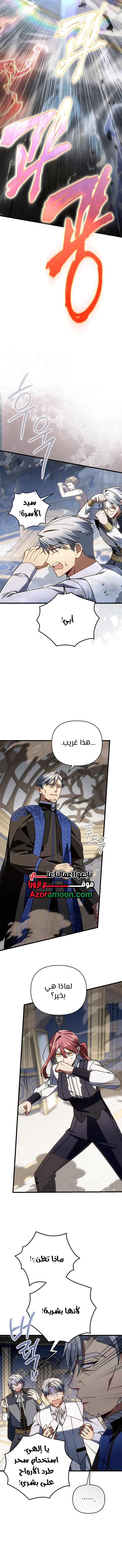 صفحة 17