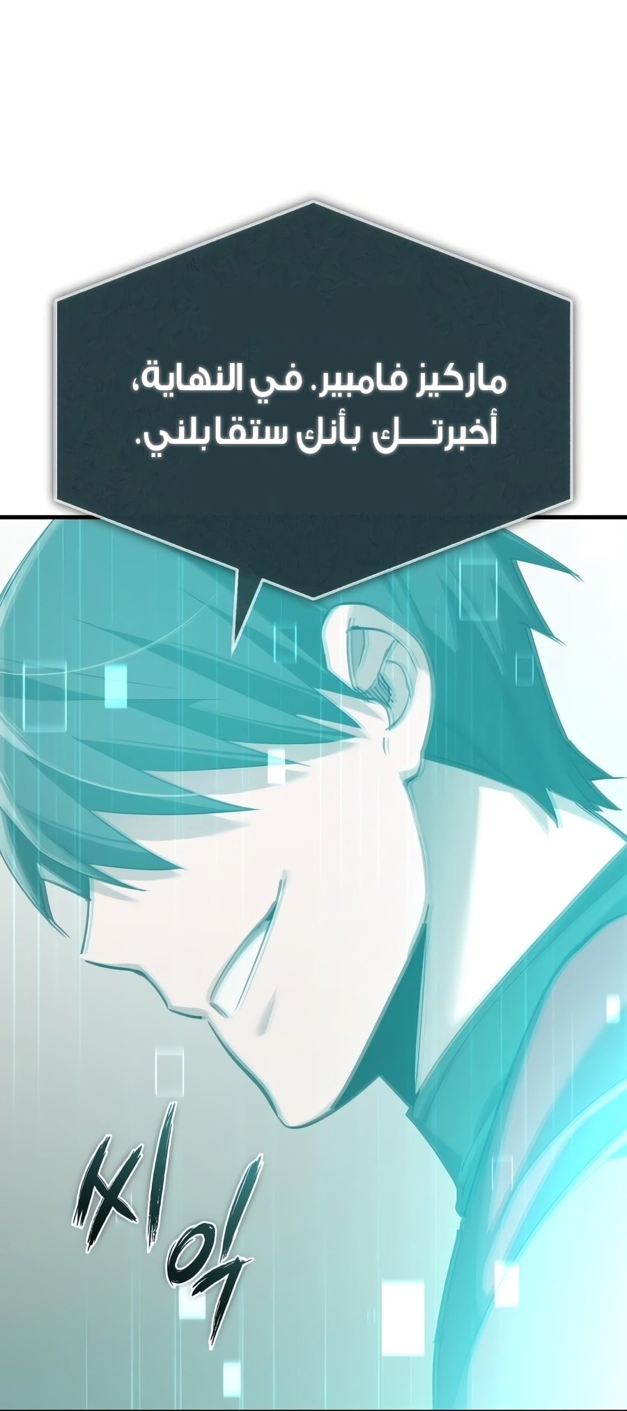 صفحة 17
