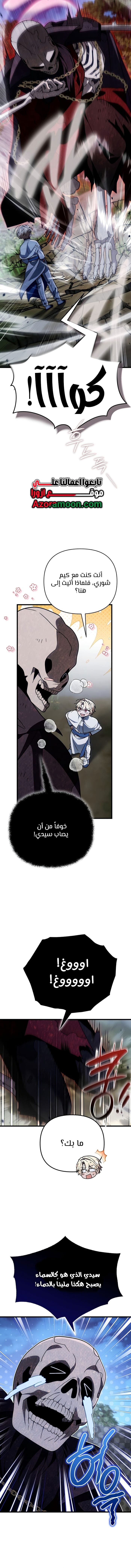 صفحة 13